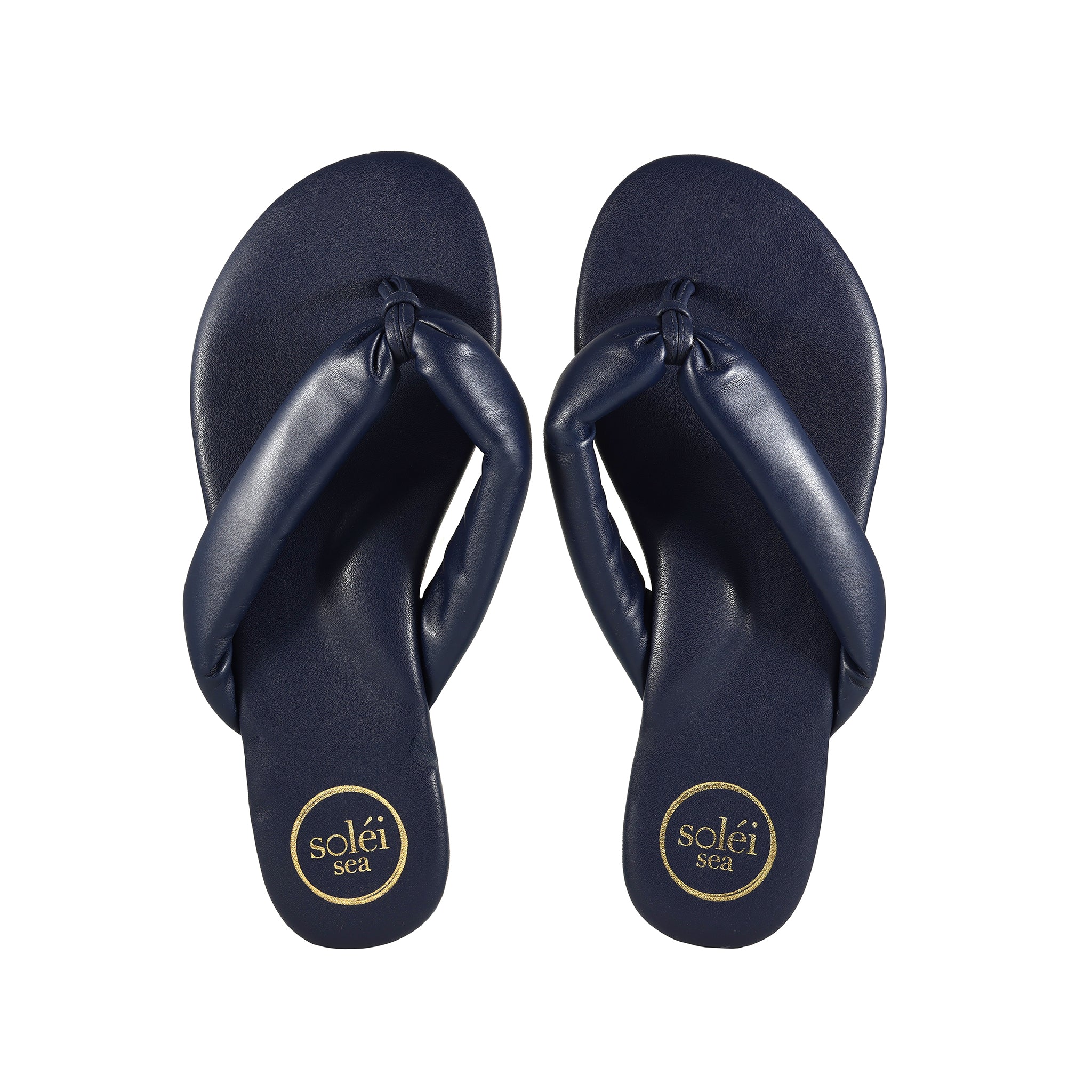 GISEL - Navy