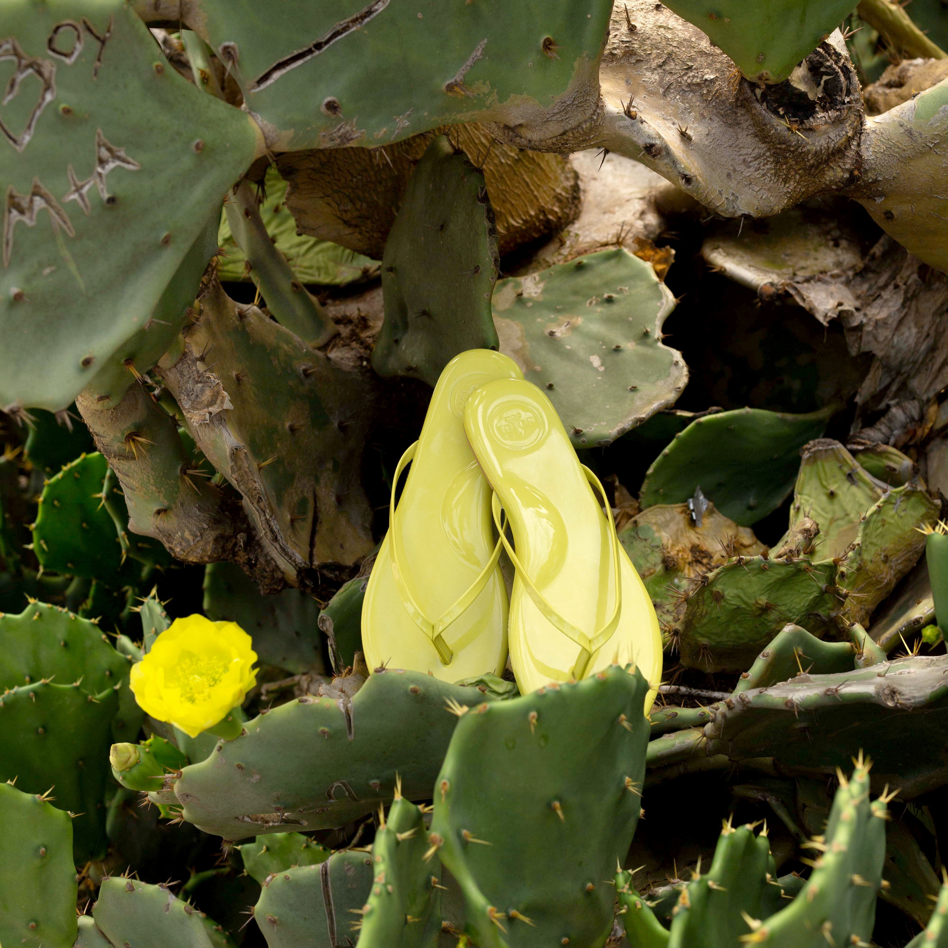 INDIE - GRAPEFRUIT PATENT