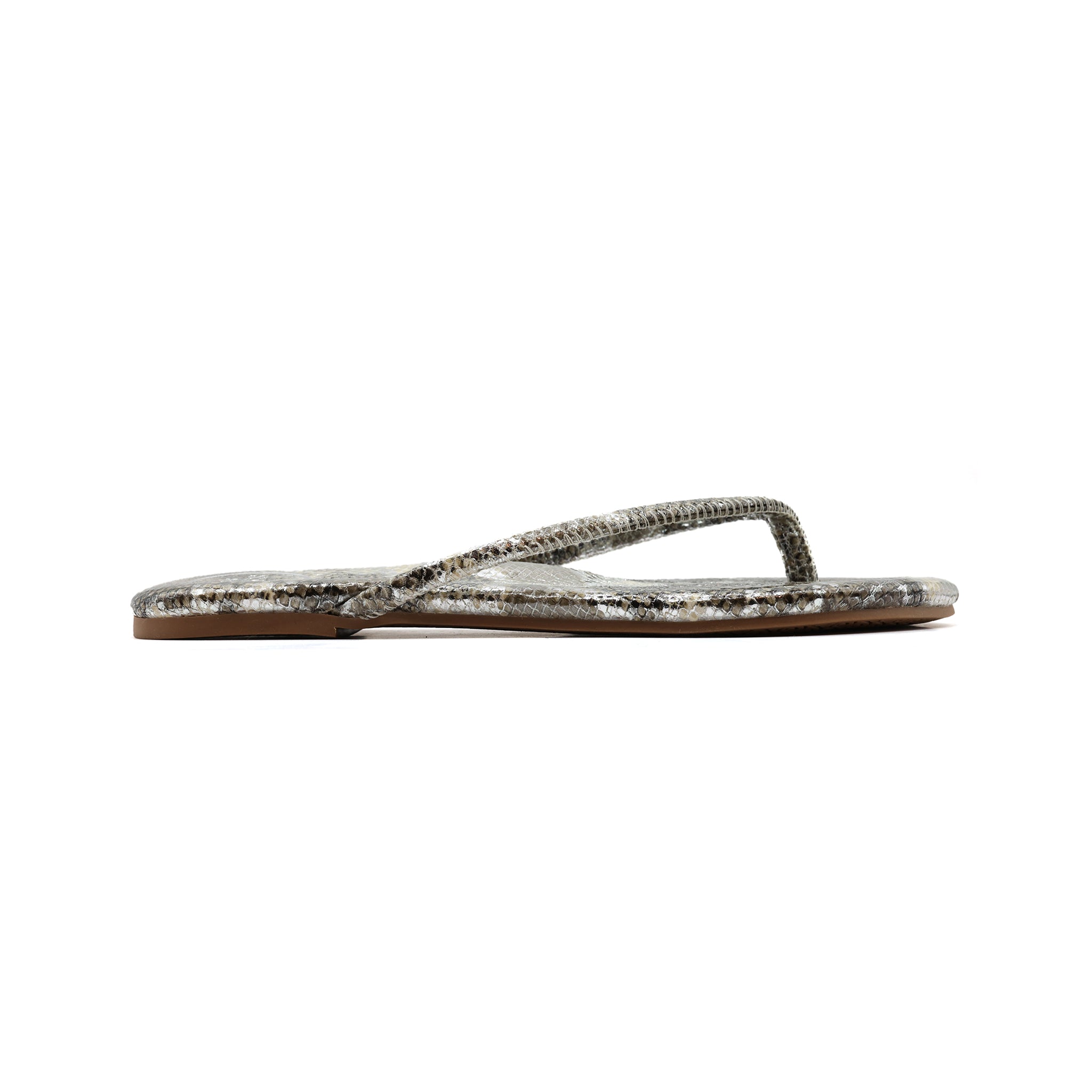 VIVIE - Lizard