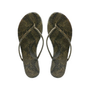 Lizard Brown