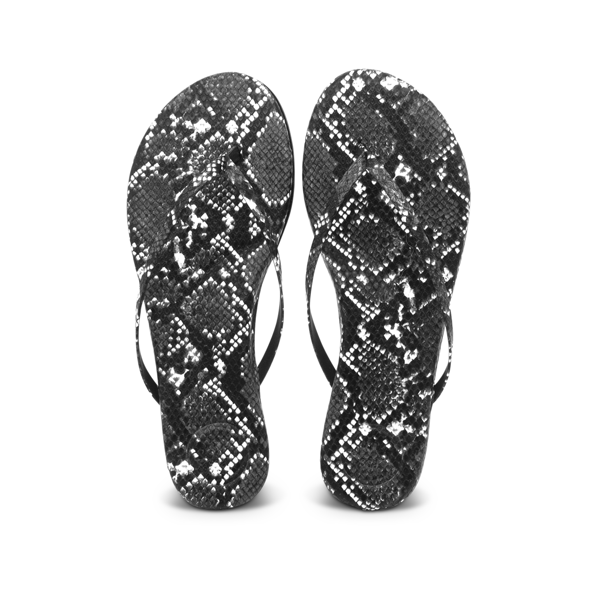 Indie Black Snake Print Sandal