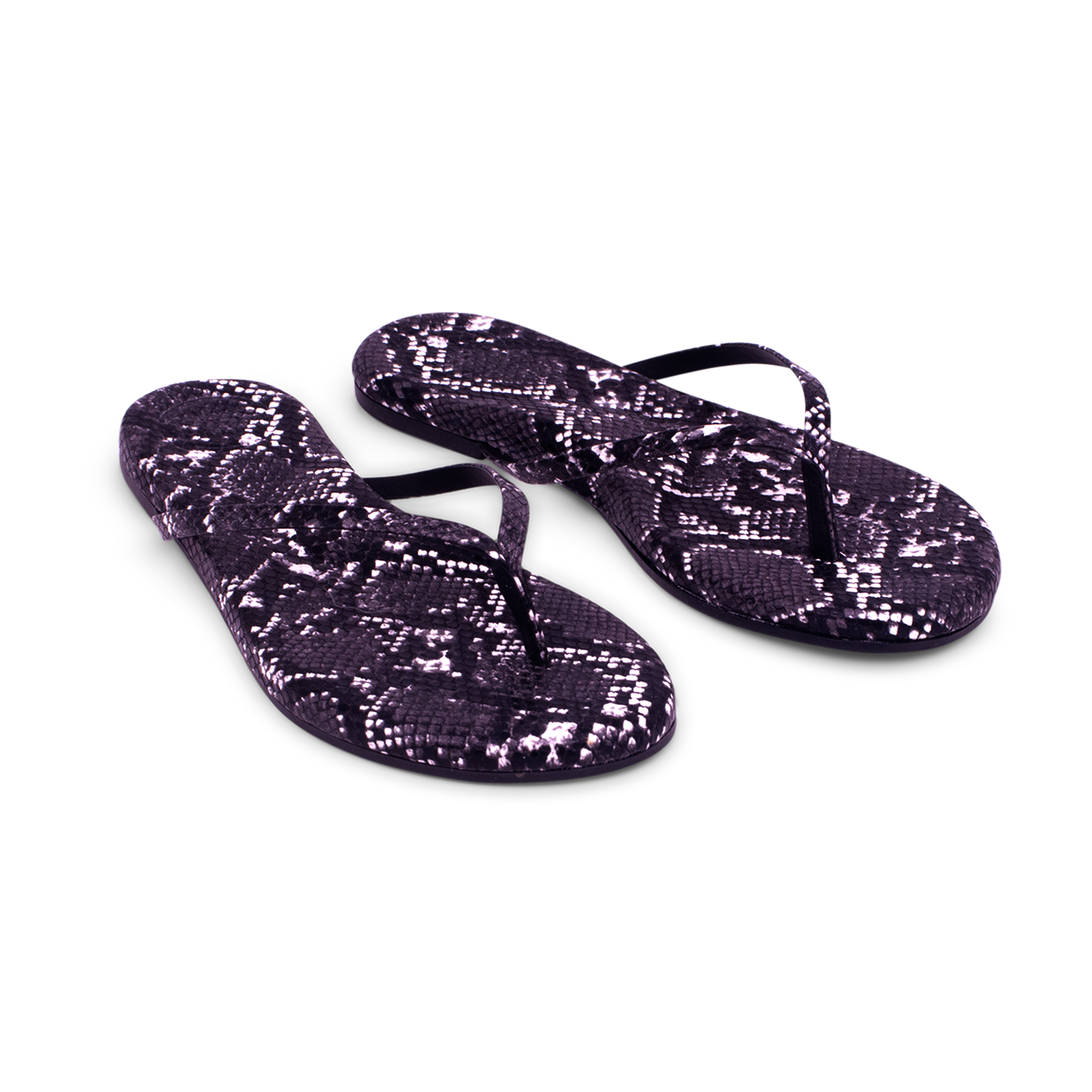 INDIE - BLACK SNAKE
