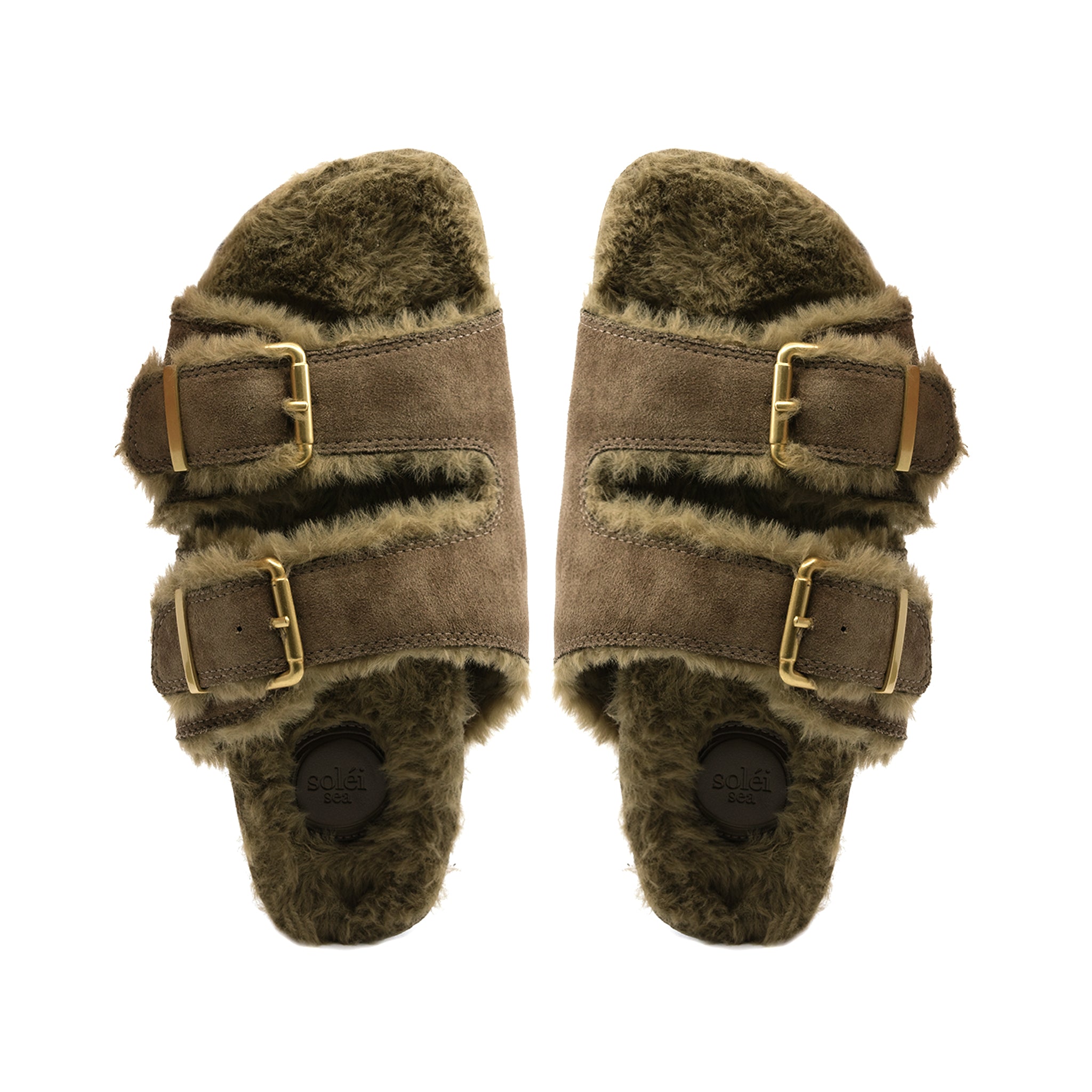 BIRCH - Olive