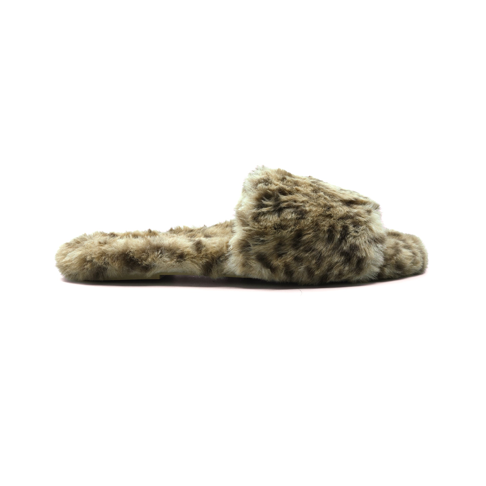 LUCIA - SNOW LEOPARD