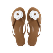 Saddle & White